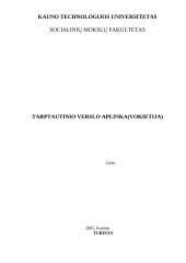 Tarptautinio verslo aplinka (Vokietija) 1 puslapis