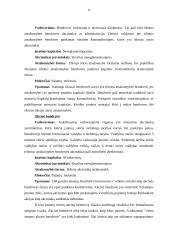 Tarptautinio verslo aplinka (Vokietija) 11 puslapis