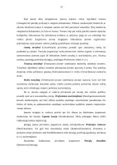 Tarptautinio verslo aplinka (Vokietija) 13 puslapis