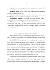 Tarptautinio verslo aplinka (Vokietija) 15 puslapis