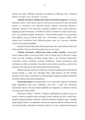 Tarptautinio verslo aplinka (Vokietija) 17 puslapis