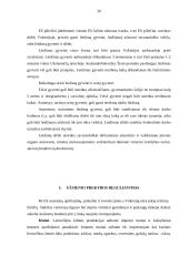 Tarptautinio verslo aplinka (Vokietija) 20 puslapis