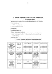 Tarptautinio verslo aplinka (Vokietija) 7 puslapis