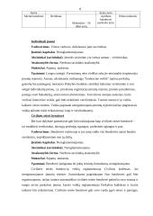 Tarptautinio verslo aplinka (Vokietija) 8 puslapis