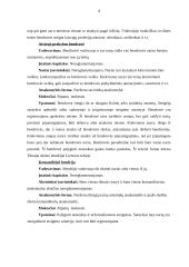 Tarptautinio verslo aplinka (Vokietija) 9 puslapis