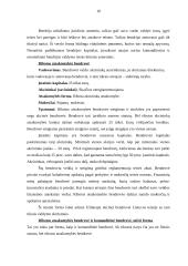 Tarptautinio verslo aplinka (Vokietija) 10 puslapis