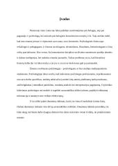 Projekciniai testai 2 puslapis