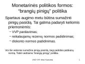 Monetarinė prekyba 11 puslapis