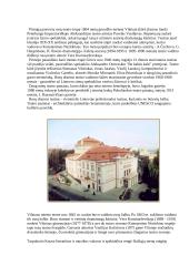 Rusų kultūros įtaka Vilniui 4 puslapis