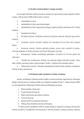 Pirkėjų skolų valdymas UAB X 4 puslapis