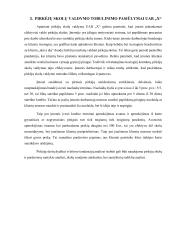 Pirkėjų skolų valdymas UAB X 10 puslapis