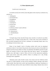 Savęs vertinimas "Aš organizacijoje" 4 puslapis