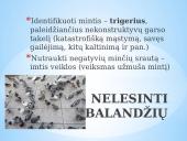 Pykčio jausmas 13 puslapis