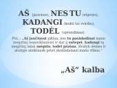 Pykčio jausmas 17 puslapis