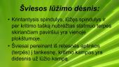 Pasiruošimas gamtos mokslų pasiekimų patikrinimui 16 puslapis