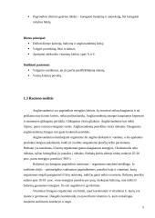 Sergančiųjų plaučių vėžiu maitinimosi priežiūra, įskaitant dietos ypatumus 5 puslapis