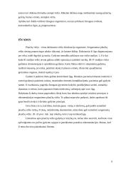 Sergančiųjų plaučių vėžiu maitinimosi priežiūra, įskaitant dietos ypatumus 9 puslapis