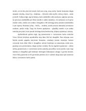 Jaunosios ir vyresniosios kartos santykiai pagal V. Krėvės apsakymus 2 puslapis