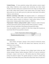 Statybos įmonės verslo planas 5 puslapis