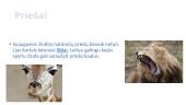 Apie žirafas 7 puslapis