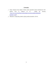 Viešojo transporto modernizavimas 7 puslapis