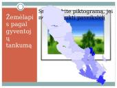 Viskas apie Švedijos Karalystę 14 puslapis