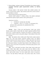 Siuvinių medžiagos ir pluoštai 2 puslapis