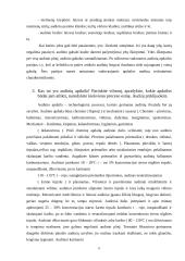 Siuvinių medžiagos ir pluoštai 8 puslapis