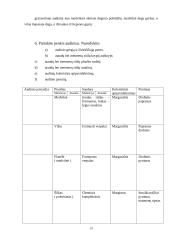 Siuvinių medžiagos ir pluoštai 10 puslapis