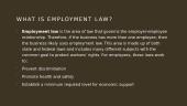 Employment law slides 3 puslapis
