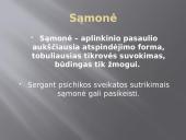 Sąmonė ir sąmonės sutrikimai 2 puslapis