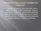 Sąmonė ir sąmonės sutrikimai 12 puslapis