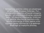 Sąmonė ir sąmonės sutrikimai 13 puslapis