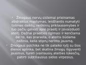 Sąmonė ir sąmonės sutrikimai 14 puslapis