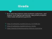 Lietuvos visuomenė pirmaisiais nepriklausomybės metais 11 puslapis