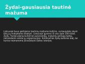 Lietuvos visuomenė pirmaisiais nepriklausomybės metais 8 puslapis