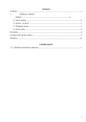 Stresas. Streso įveika 2 puslapis