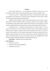 Stresas. Streso įveika 3 puslapis