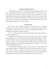 Stresas. Streso įveika 4 puslapis