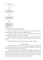 Stresas. Streso įveika 5 puslapis