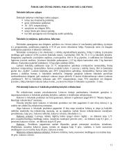 Šokolado technologija 11 puslapis