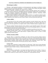 Šokolado technologija 9 puslapis