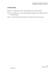 Skaitmeniniai fotoaparatai ir kameros 13 puslapis