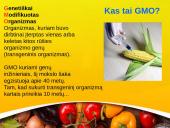 GMO – genetiškai modifikuotas organizmas  2 puslapis