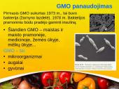 GMO – genetiškai modifikuotas organizmas  4 puslapis
