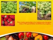 GMO – genetiškai modifikuotas organizmas  5 puslapis