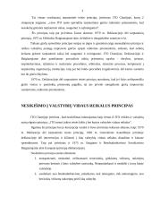 Tarptautinės teisės principų analizė, atskleidžiant jų turinį 3 puslapis
