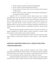 Tarptautinės teisės principų analizė, atskleidžiant jų turinį 7 puslapis