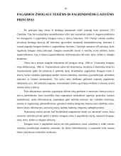 Tarptautinės teisės principų analizė, atskleidžiant jų turinį 10 puslapis