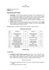 Technologijų pamokos išplėstinis planas 2 puslapis